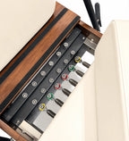 Reformer Pilates Signature Beige Ressort - Détail Système de Résistance Premium - Pilates At Home